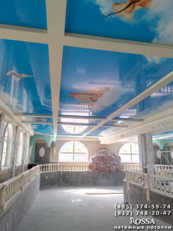Натяжные потолки с фотопечатью для бассейна,  г. Брянск.